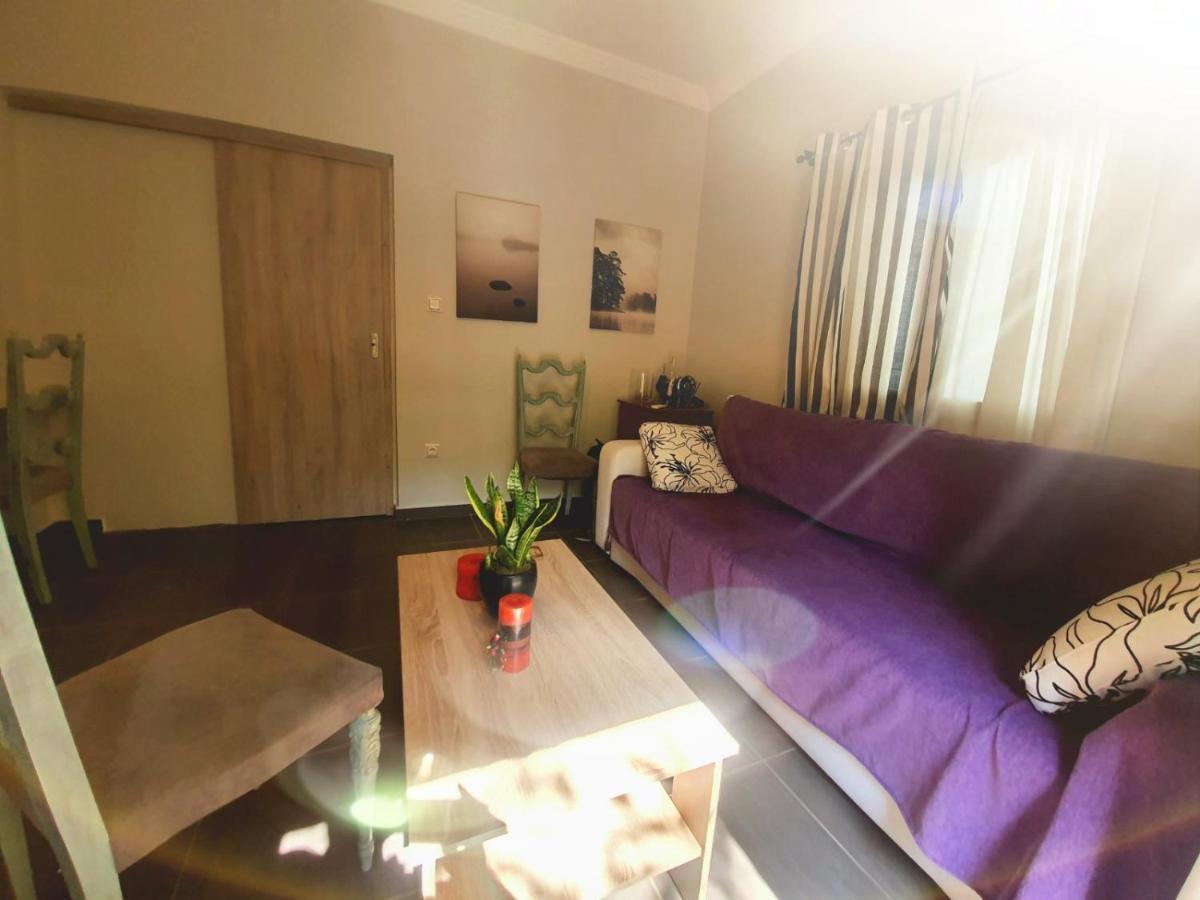 Ilias' Cosy And Relaxing Apartment Atenas Exterior foto